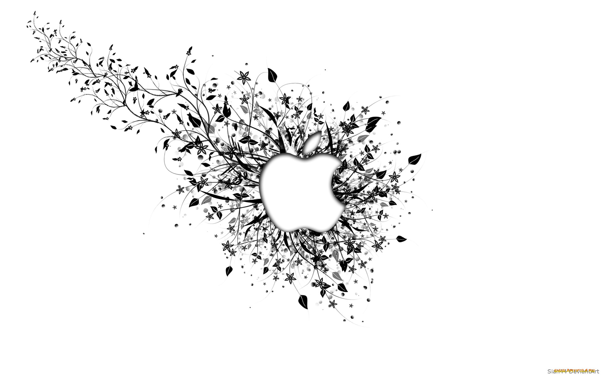 , apple, , 